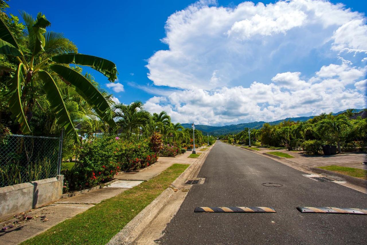 Nature'S Choice Home Richmond Palms, Jamaica Exteriér fotografie