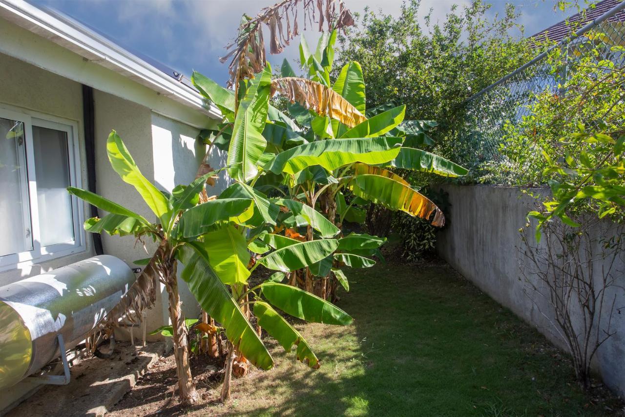 Nature'S Choice Home Richmond Palms, Jamaica Exteriér fotografie